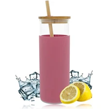 Potted Pans 20oz Clear Glass Water Bottle - Drink Glass Bottle Straw and Lid