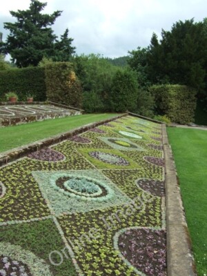 Photo 6x4 Formal planting Knocklaw A mosaic of different coloured plants  c2009