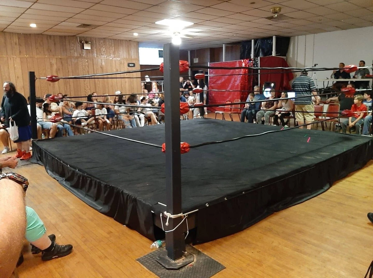 Used wrestling mats store for sale ebay