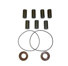 Delavan Old Style Repair Kit W 7 - 34 Rollers Ccw Fits Pump 77-3110 25228 Delavan Old Style Repair Kit W 7 - 34 Rollers Ccw Fits Pump 77-3110 25228