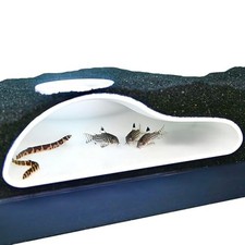 Aquarium Underground Tunnel Cave Natural Curve Viewing Fish Shrimp Under ...