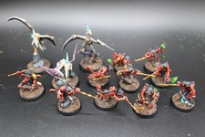 Warhammer Age of Sigmar Seraphon Hunters of Huanchi Unit Painted