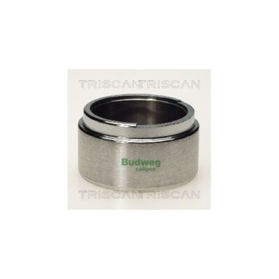 Kolben Bremssattel Triscan 8170 235413 online kaufen | eBay
