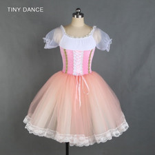 Pale Pink Romantic Skirt Ballerina Dress Velvet Leotard Bodice Tulle Puffy Tutus