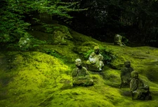 Moss Crete - Naturalistic Stone Cement Blend for Growing Moss