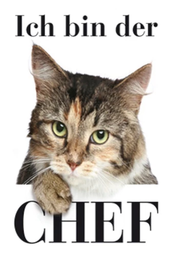 I Am The Boss Cats - Tin Sign 20x30cm PC 300/269 Cat Cats