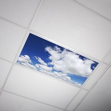 Octo Lights - Fluorescent Light Covers - Classroom, Office, Home - Cloud - 019