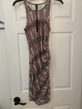 Viereck Dress NWT SZ Small