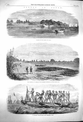 Original Old Antique Print 1864 Japan Palace Daimio Agasi Harbour Asima Whaling