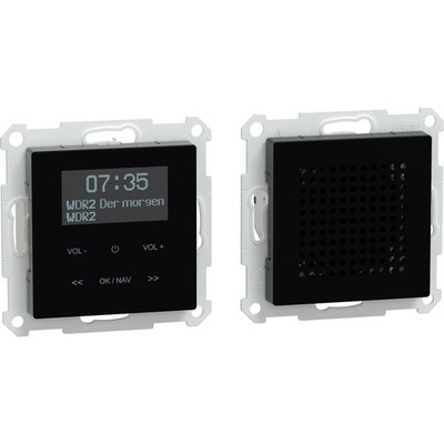 Merten Digital Audio Broadcasting Plus Radio Set mit Bluetooth und Lautsprecher