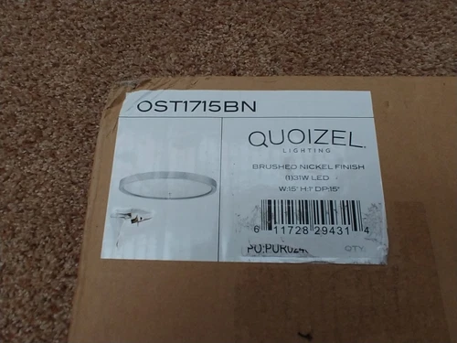 Quoizel 15" Outskirt Flush Mount, Brushed Nickel - OST1715BN - Picture 2 of 4
