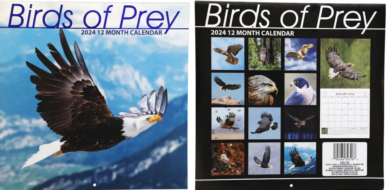 birds-of-prey-2024-wall-calendar-12-x-24-open-ebay