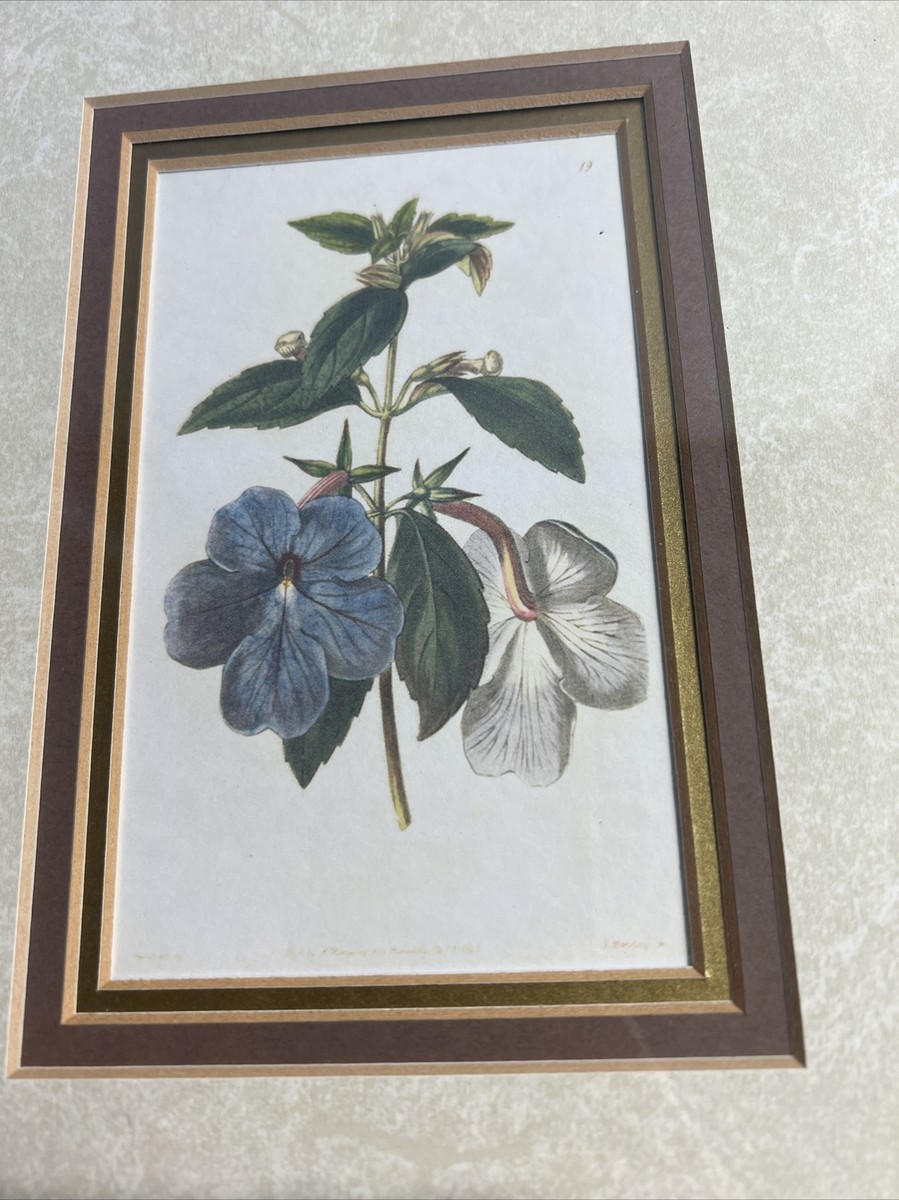 VTG Set Art Source International Blue Botanical FLOWERS 8/10 Gold