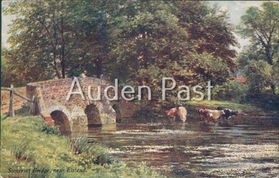 Somerset Bridge Elstead Surrey England 1916 Postkarte Blackie & Son Cows River