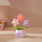 Foto 12 di 12