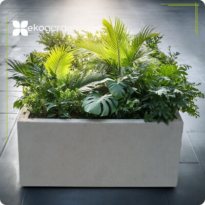 Massiver Blumenkasten Blumentopf Blumenkbel Pflanztopf aus Beton  70x35x35cm | eBay.de