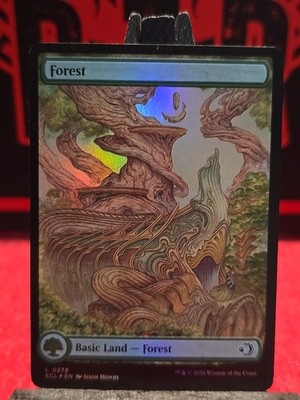 x1 Forest FOIL ECL Lorwyn Eclipsed MTG 278 M/NM 1x Unplayed | eBay