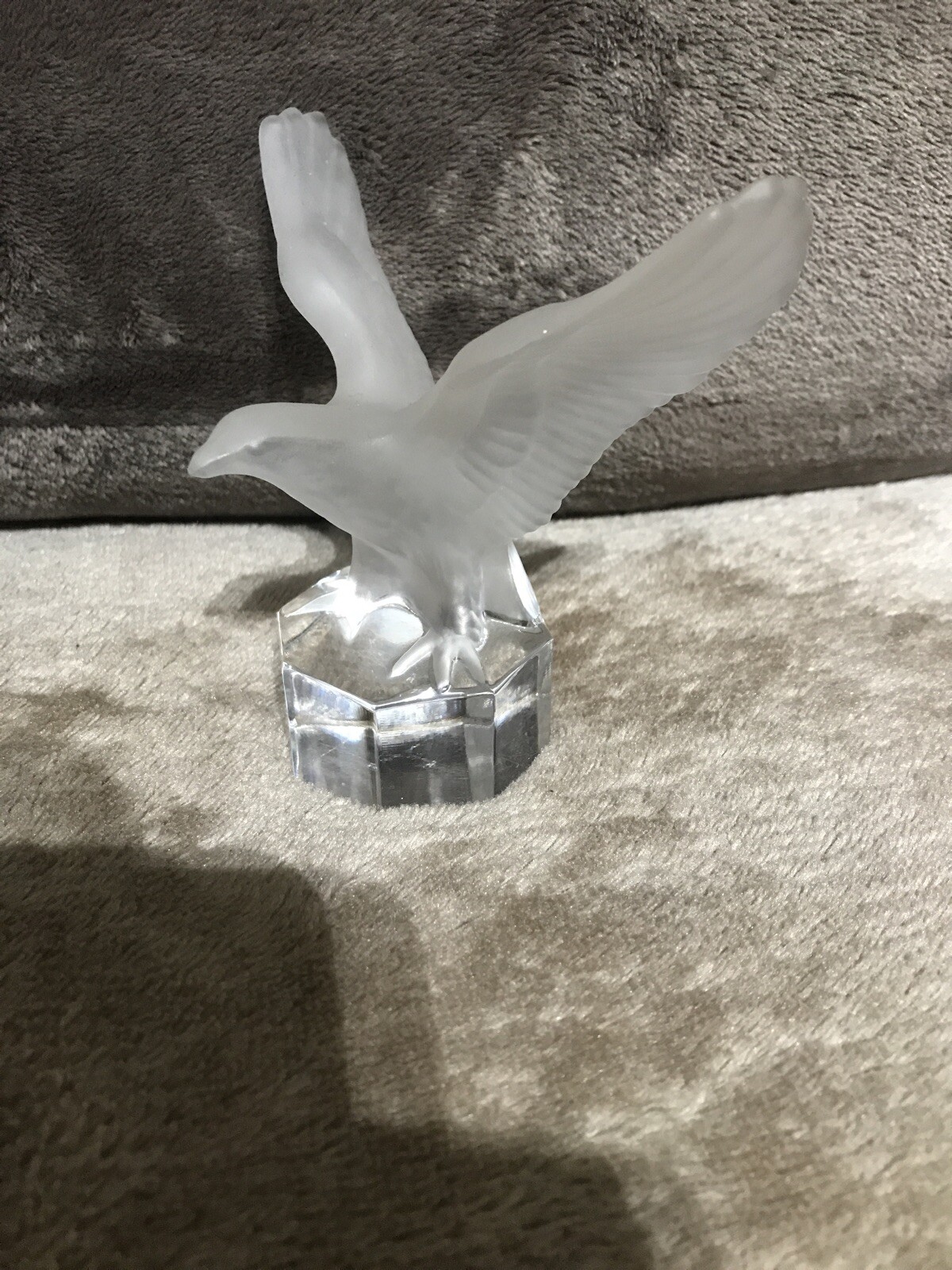 Picture 6 of 12