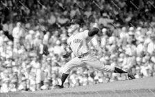 EI782 Whitey Ford NY Yankees 8x10 11x14 16x20 Photo