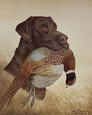 Carl Melichar Perro de Caza Estampado S/N Laboratorio de Chocolate con Faisán (12"x15")