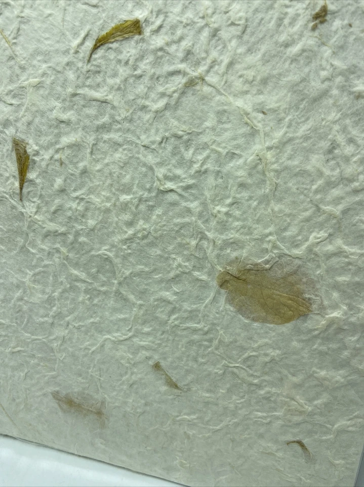 Álbum de recortes MBI The Album People 12" x 12" Mulberry carga superior 20 páginas nuevo Foto 4 de 4