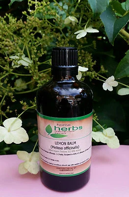 Lemon Balm Tincture (100ml) Organic 1:2 Ratio High Strength Herbal Extract