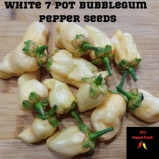 (12) White 7 Pot Bubblegum Pepper seeds