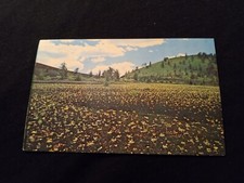 Craters of the Moon National Monument Idaho Cinder Garden - Old Postcard