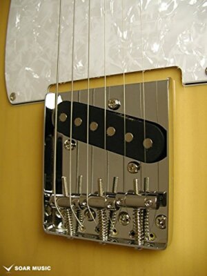 Bacchus Telecaster Type BTE-400 Alder Body (Blonde Rhodes