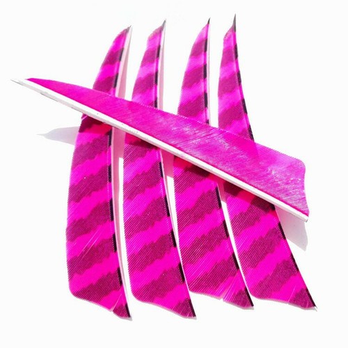 30pcs 4" Turkey Natural Feather Hunting Striped Vanes Fletching DIY Arrow Shaft - Picture 14 of 19