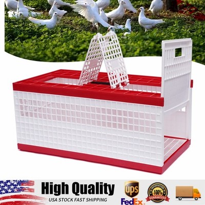 Racing Pigeon Carrier Box Poultry Pet Supply Cage w/ 2 Side Doors + 2 Top Doors