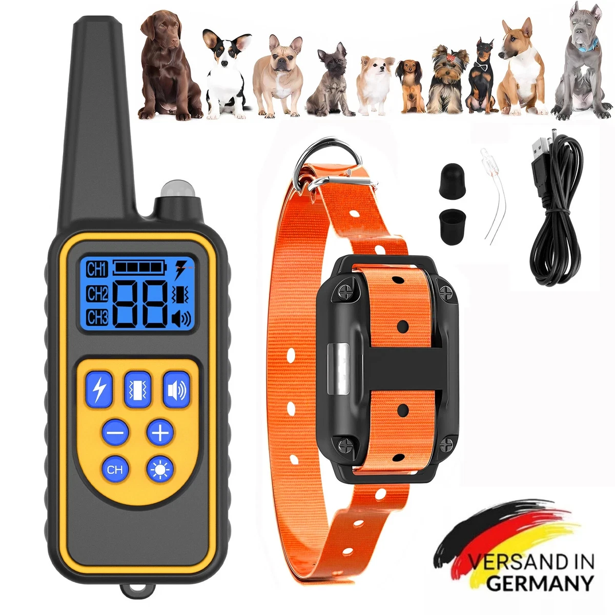 bauchgurt hundeleine wandern Gassigürtel Joggingleine Bundle main image 1