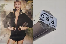 VINTAGE PINUP POSTER ~ Cheryl Ladd 20x28 Open Blouse Black #14-688 1979 Pro Arts
