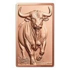 10 AVDP oz .999 Fine Copper Bull Bar , Very Low Mint  Bullion Copper Bar