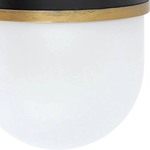 Capsule 10" High Matte Black and Gold Outdoor Wall Light - Picture 5 of 9