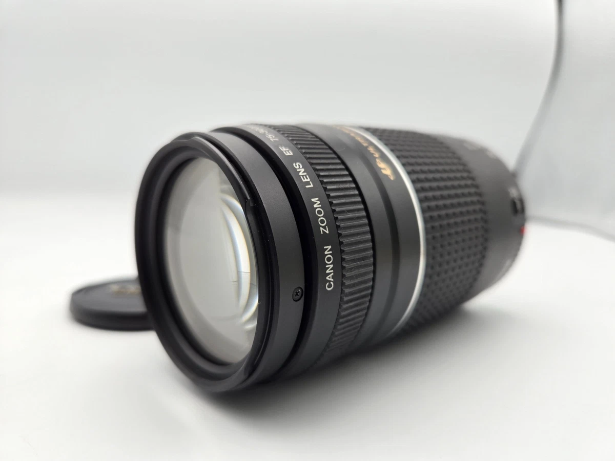 Canon EF 75-300mm Camera Lenses for sale | eBay