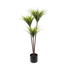 55 " GREEN Artificial DRACAENA in BLACK PLANTER POT