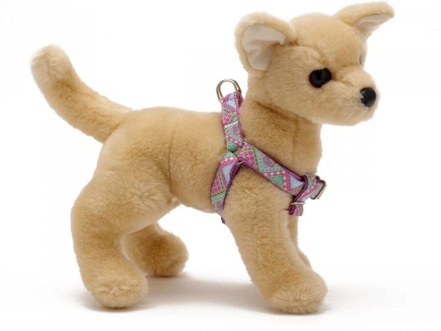 Douglas paquette dog collars hotsell
