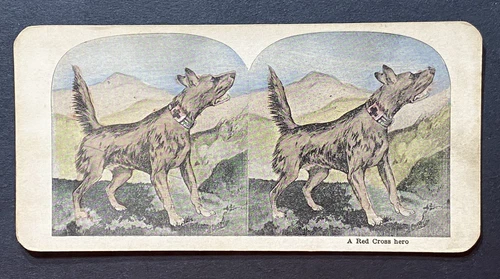 Stereoview Card WW1 Military - A Red Cross Hero