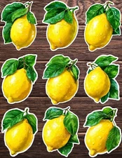 Lemon Die Cut Vinyl Stickers Set Scrapbooking Laptop Water Bottle