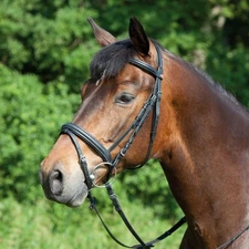 Kieffer Ergonomic Line Snaffle Bridle - Brown - Cob