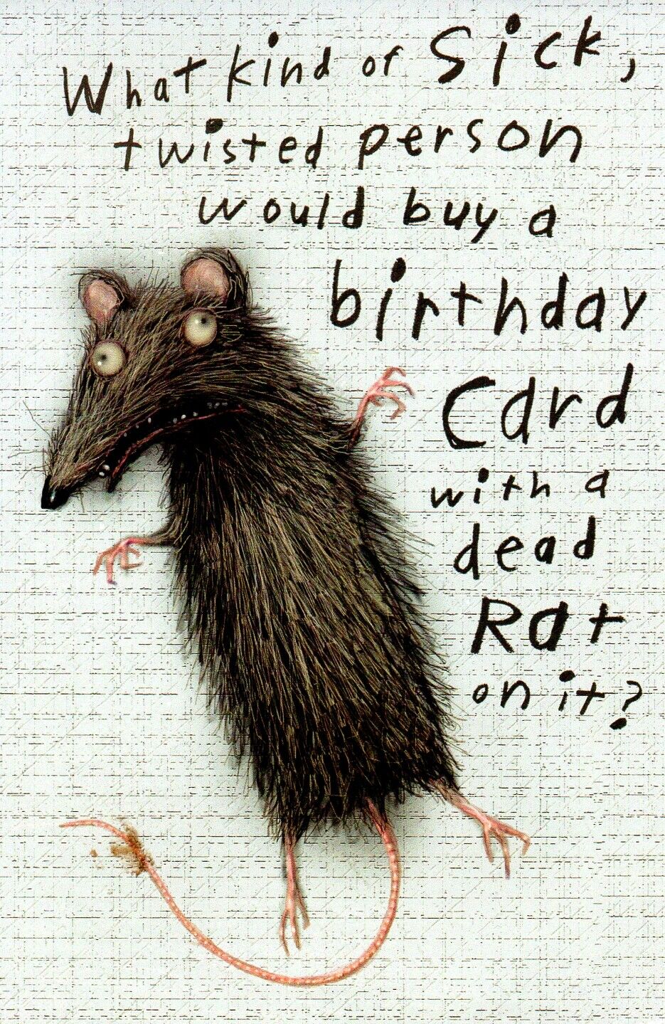 Funny HAPPY BIRHTDAY Card, by American Greetings Rat Know Me Too Well +  Envelope | eBay