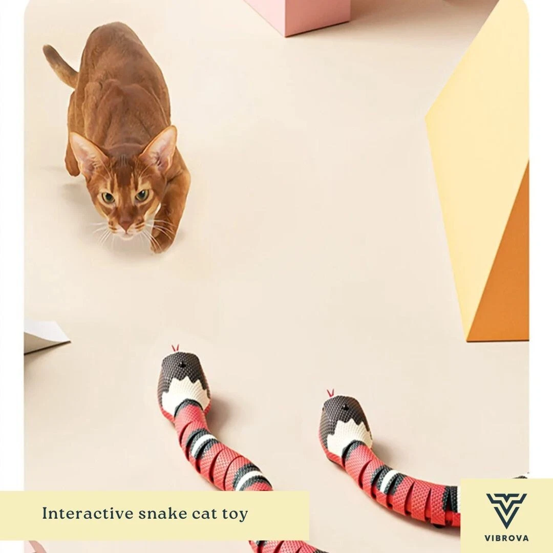 Interactive Snake Cat Toys - USB Rechargeable Snake Teaser for Indoor Cats