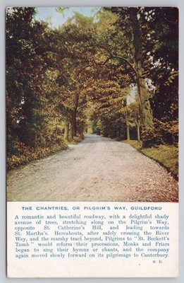 The Chantries or Pilgrim's Way, Guildford getönter, von Bäumen gesäumter Spaziergang