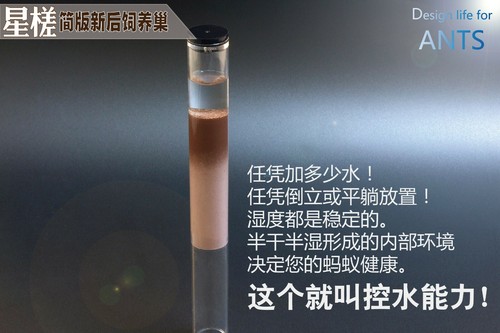 Nuevo tubo de enchufe de agua Queen Ant Nest granja Formicario anticorrosión bacterias - Imagen 10 de 15