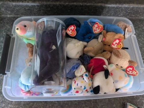 Lot C: 20 Retired Vintage (90's-06) Ty Beanie Baby Bears Including Princess Di
