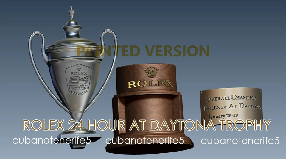 DAYTONA TROFEO 24 ORE VERNICIATO IN RESINA - Immagine 3 di 4