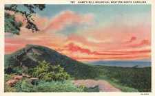 Vintage Postcard 1950 View of Hawk's Bill Mountain Western North Carolina NC