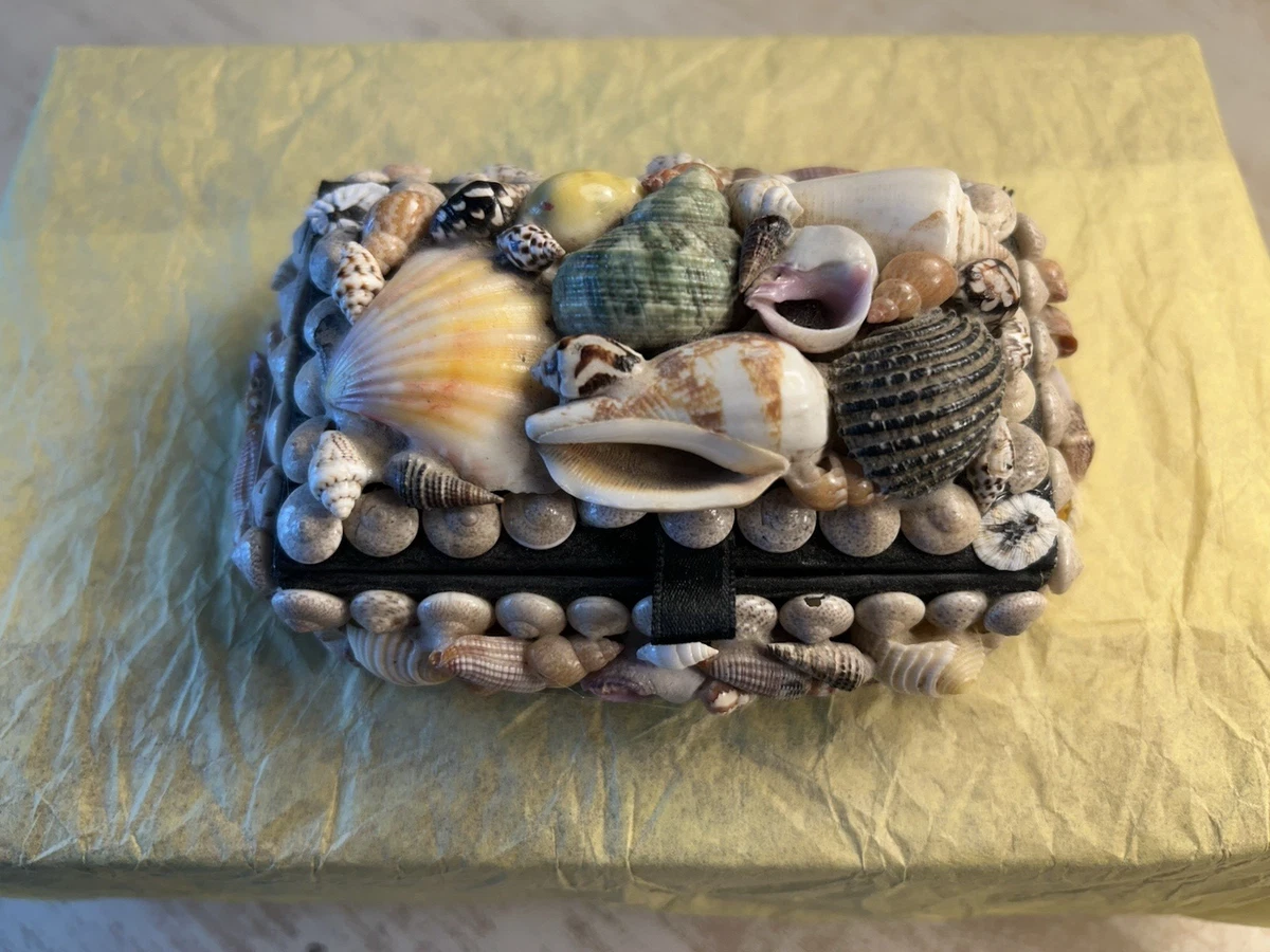 贝壳盒| eBay