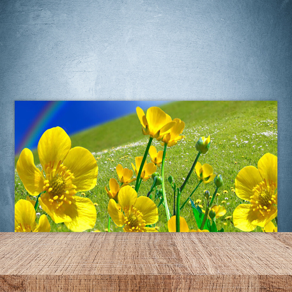 Crédence de cuisine en verre 100x50 cm motif Prairie et Fleurs Arc En Ciel